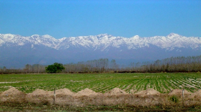 MENDOZA - TIERRA DEL SOL Y DEL VINO